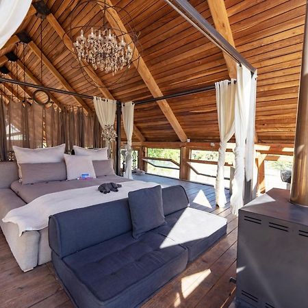 Hotel Inspiring Farm Sanctuary And Famous Painting Pig Franschhoek Exterior foto